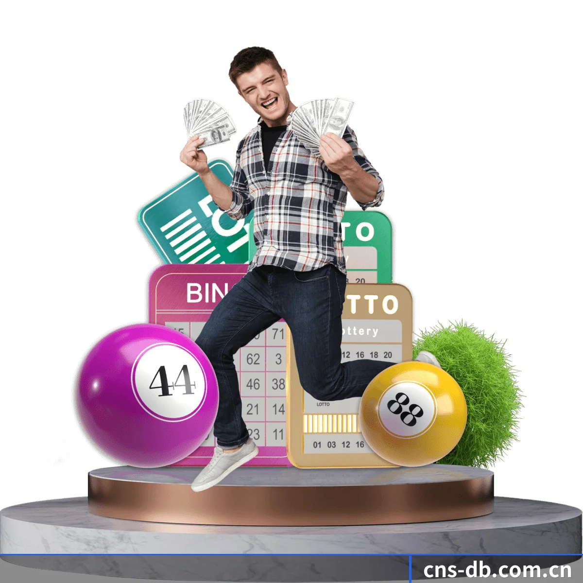 DB真人 APP